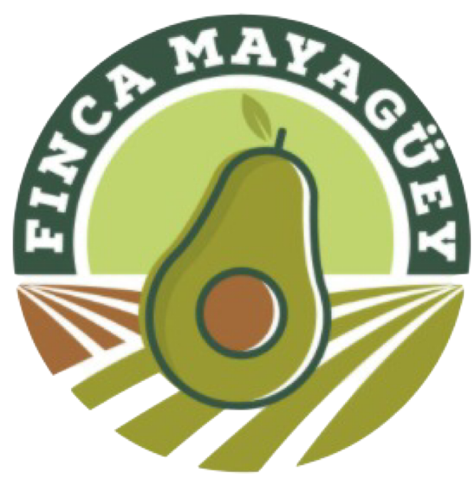 LOGO MAYAGUEY2