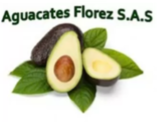 aguacates-florez